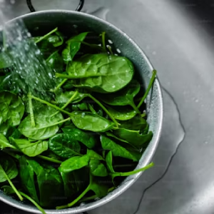 Food Preparation Safety